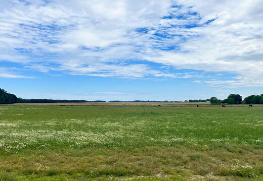 24-07-01 12-20-34 0065